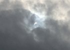 Solar Eclipse 2017 (24)
