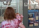 Rochester Zoo 2012 (30)