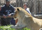 Rochester Zoo 2015 (11)