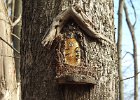 Fairy Homes (45)