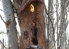 Fairy Homes (62)