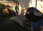 Pig Roast 2012 (39)