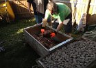 Pig Roast 2012 (42)