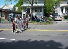 Lilac Festival (31)