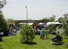 Lilac Festival (64)