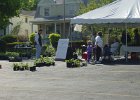 The Plant Sale (19)