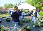 The Plant Sale (32)