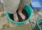 Wine Making (12)