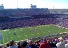 Buffalo Bills (5)