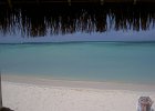 Aruba (64)