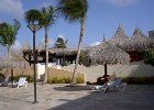 Aruba (69)