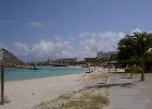 Aruba (85)