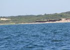 Cape Cod (13)