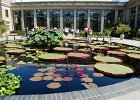 LongWood Gardens (111)