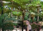 LongWood Gardens (126)