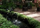 LongWood Gardens (130)