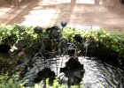 LongWood Gardens (138)