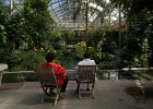 LongWood Gardens (151)