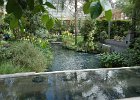 LongWood Gardens (152)