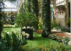 LongWood Gardens (158)