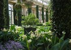 LongWood Gardens (159)