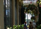 LongWood Gardens (160)