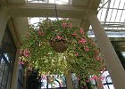 LongWood Gardens (161)