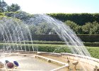 LongWood Gardens (182)
