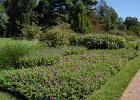 LongWood Gardens (30)