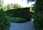 LongWood Gardens (57)