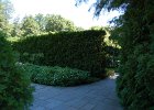 LongWood Gardens (58)