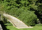 Longwood Garden (15)