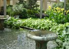 Longwood Garden (40)