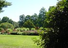 Longwood Garden (6)