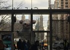 New York City 2016 (23)
