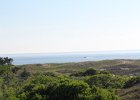 Plum Island 2012 (182)