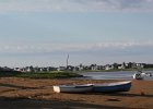 Plum Island 2012 (19)