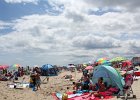 Plum Island 2012 (234)