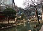 San Antonio Trip 2017 (20)