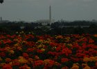 WashingtonDC (13)
