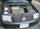 Jetta (20)