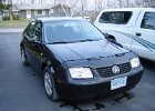 Jetta (23)
