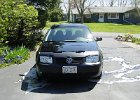 Jetta (25)