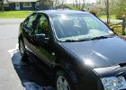 Jetta (31)
