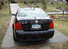 Jetta (40)